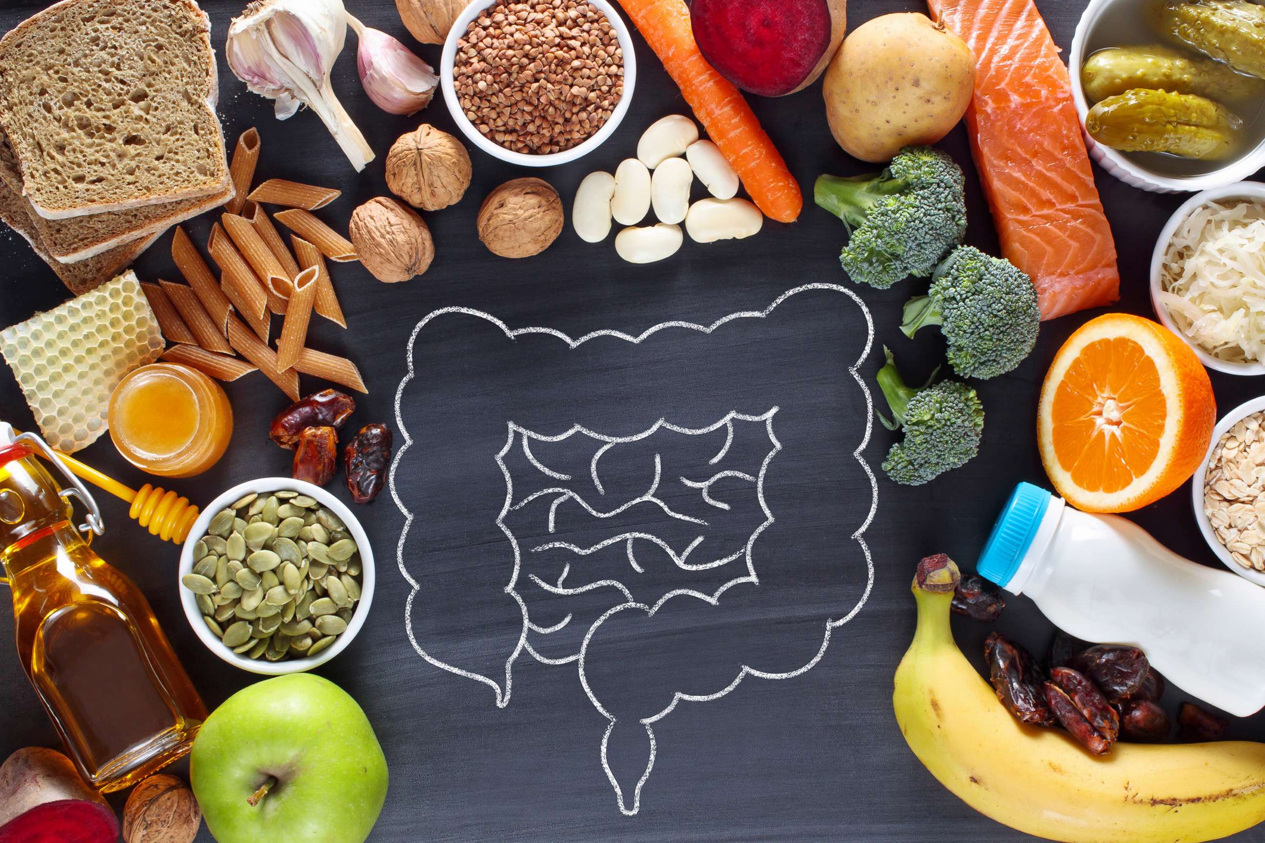 How Probiotics and Fiber Shape Gut-Brain Wellness