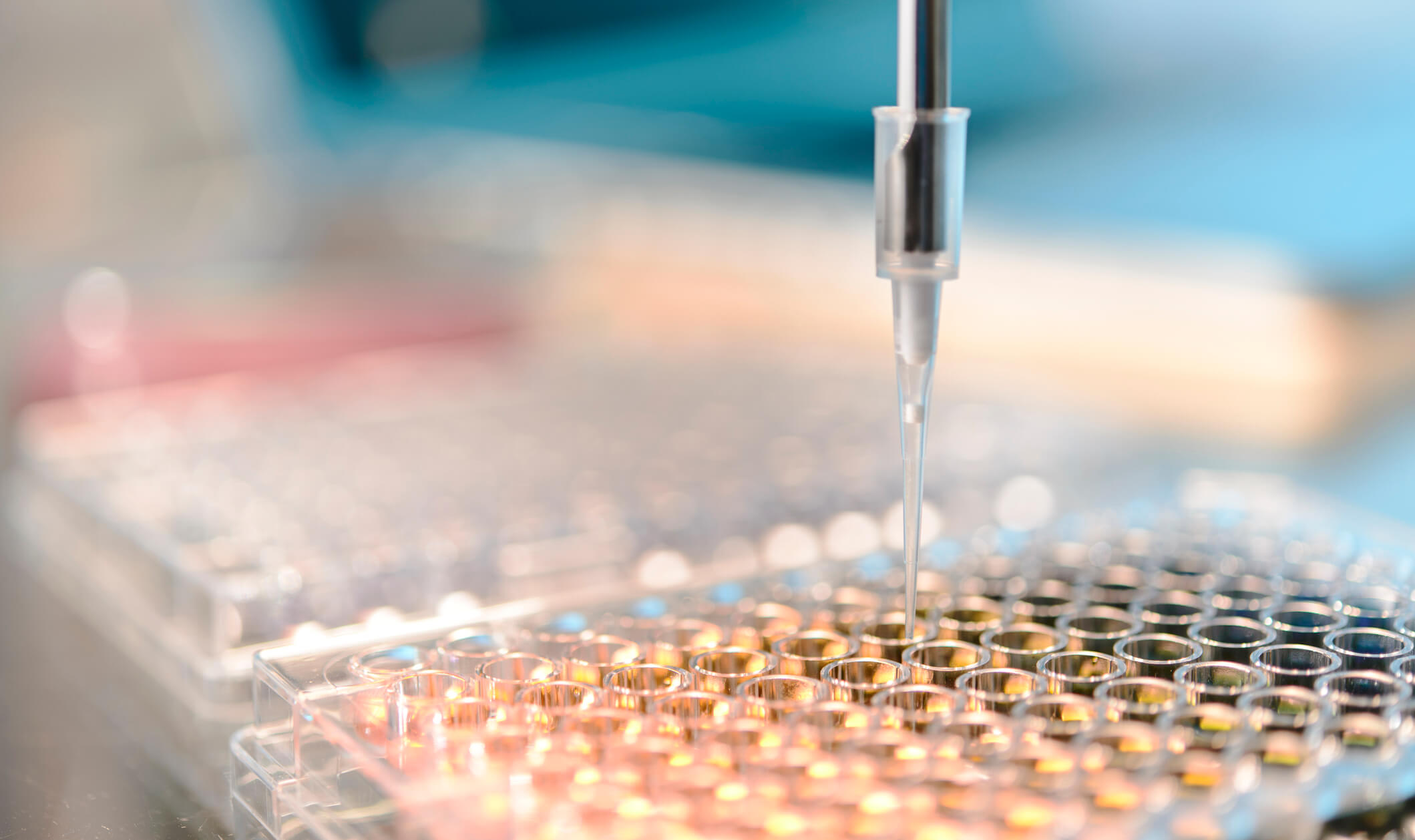 From Genes to Drugs: The Future of Medical Research