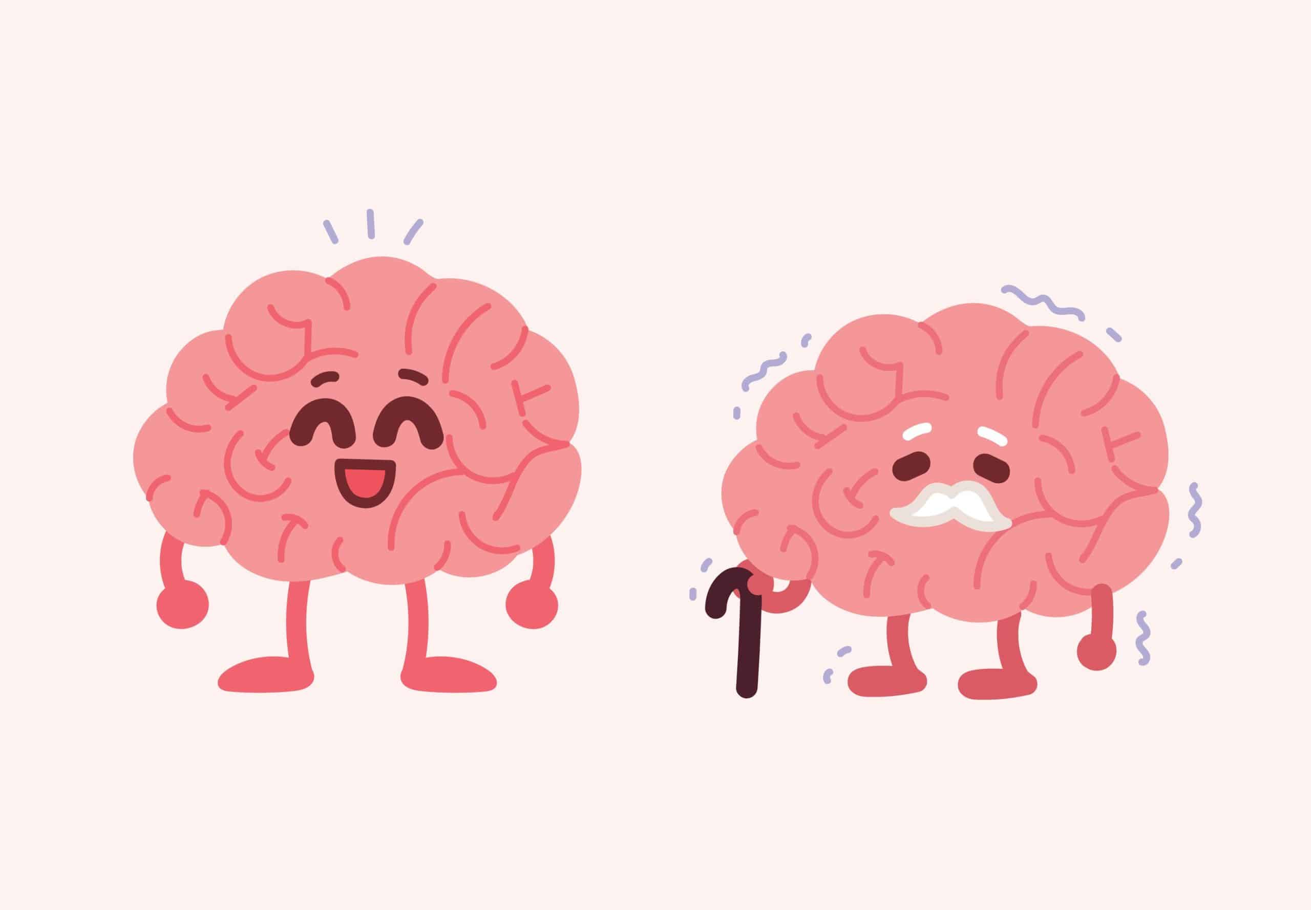 Unlocking Longevity: The Synergy of Nutrition, Memory, and Social Engagement